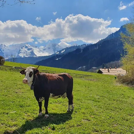 Le Rookie Mountain Le Grand-Bornand