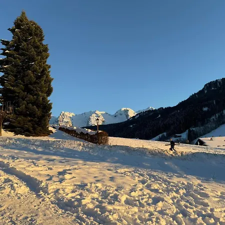 Hotel Le Rookie Mountain Le Grand-Bornand